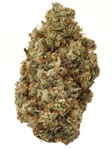 Alien OG