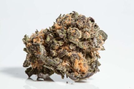 Granddaddy Purple THCA Flower